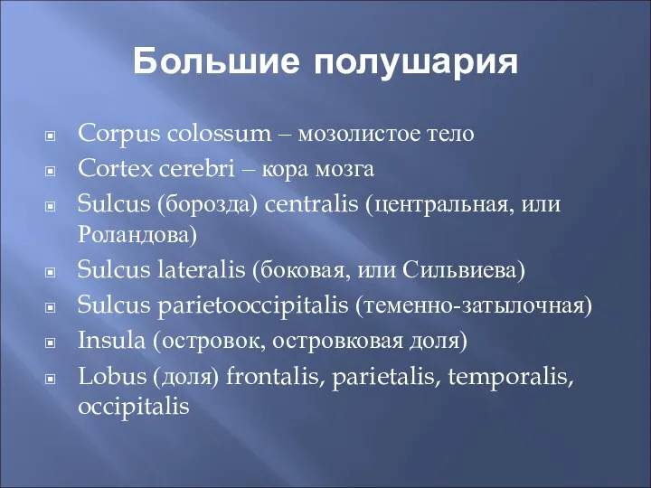 Большие полушария Corpus colossum – мозолистое тело Cortex cerebri – кора мозга Sulcus