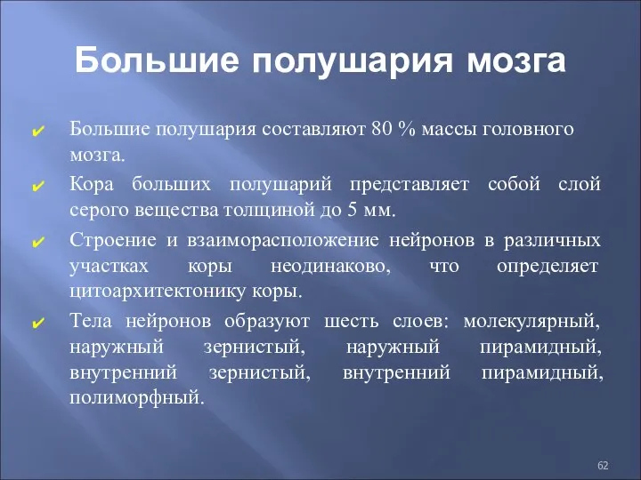 Большие полушария мозга Большие полушария составляют 80 % массы головного мозга. Кора больших