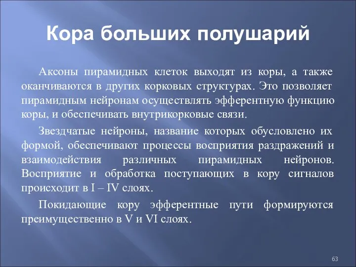 Кора больших полушарий Аксоны пирамидных клеток выходят из коры, а также оканчиваются в