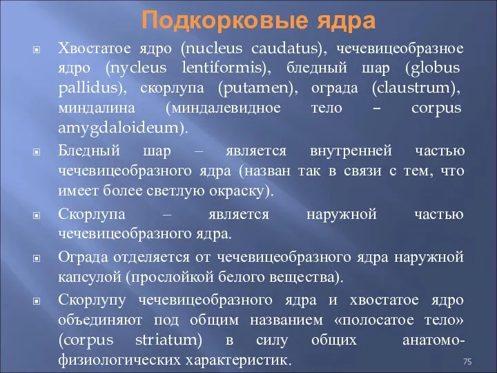 Подкорковые ядра Хвостатое ядро (nucleus caudatus), чечевицеобразное ядро (nycleus lentiformis), бледный шар (globus