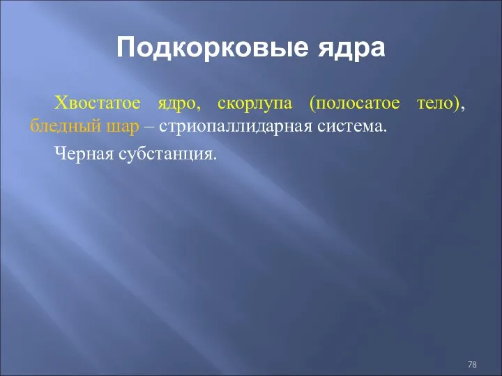 Подкорковые ядра Хвостатое ядро, скорлупа (полосатое тело), бледный шар – стриопаллидарная система. Черная субстанция.