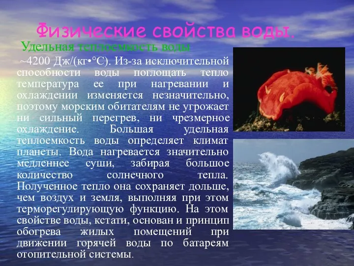 Физические свойства воды. Удельная теплоемкость воды ~4200 Дж/(кг•°С). Из-за исключительной