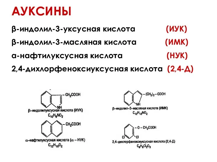 АУКСИНЫ β-индолил-3-уксусная кислота (ИУК) β-индолил-3-масляная кислота (ИМК) α-нафтилуксусная кислота (НУК) 2,4-дихлорфеноксиуксусная кислота (2,4-Д)