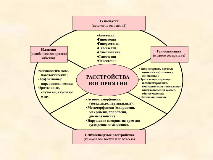 Сенсопатии (патология ощущений) Анестезии Гипостезии Гиперестезии Парестезии Сенестопатии Сенестезии Синестезии