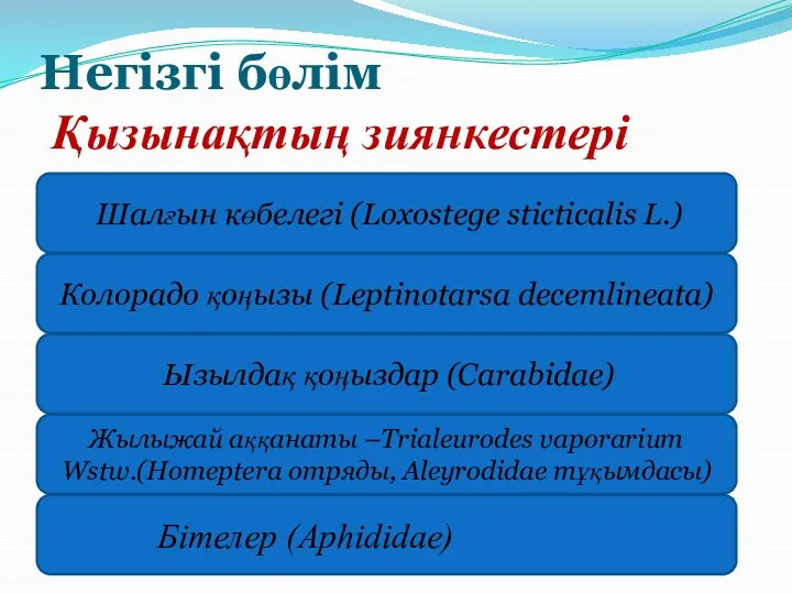 Негізгі бөлім Қызынақтың зиянкестері Бітелер (Aphididae) Шалғын көбелегі (Loxostege stіctіcalіs