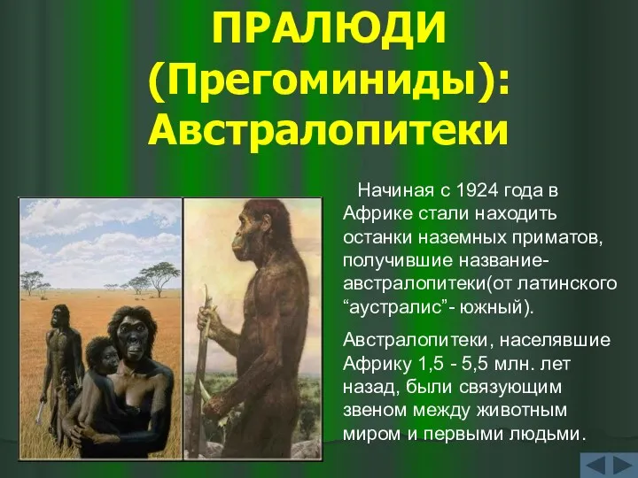 ПРАЛЮДИ (Прегоминиды): Австралопитеки Начиная с 1924 года в Африке стали