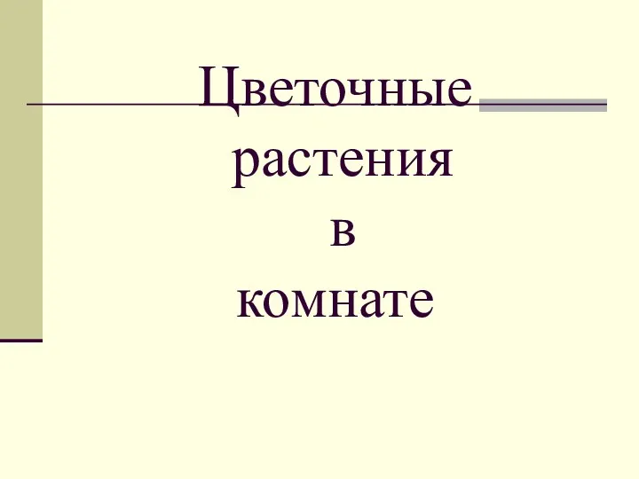 Цветочные растения в комнате