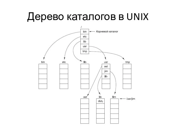 Дерево каталогов в UNIX