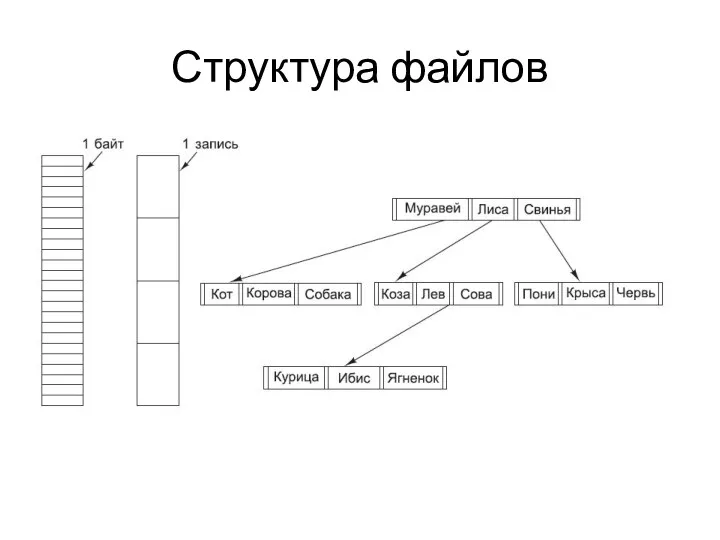Структура файлов