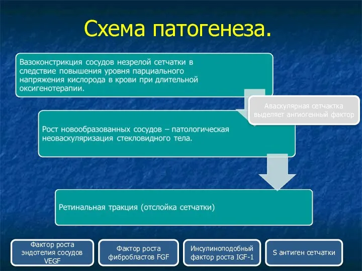 Схема патогенеза. Аваскулярная сетчактка выделяет ангиогенный фактор Фактор роста эндотелия