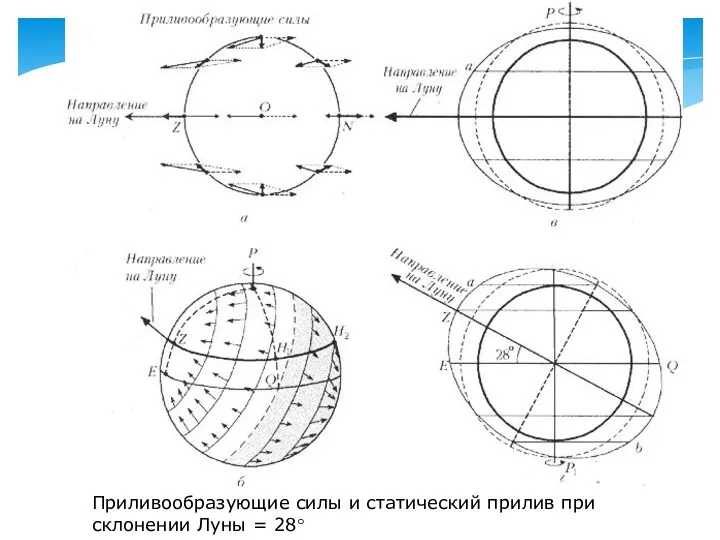 Приливообразующие силы и статический прилив при склонении Луны = 28°