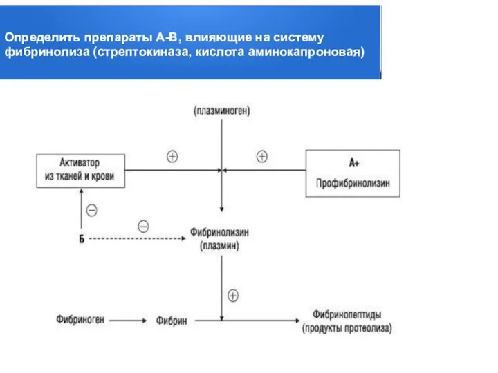 Определить препараты А-В, влияющие на систему фибринолиза (стрептокиназа, кислота аминокапроновая)