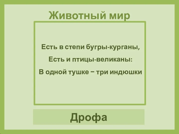 Есть в степи бугры-курганы, Есть и птицы-великаны: В одной тушке − три индюшки Дрофа Животный мир