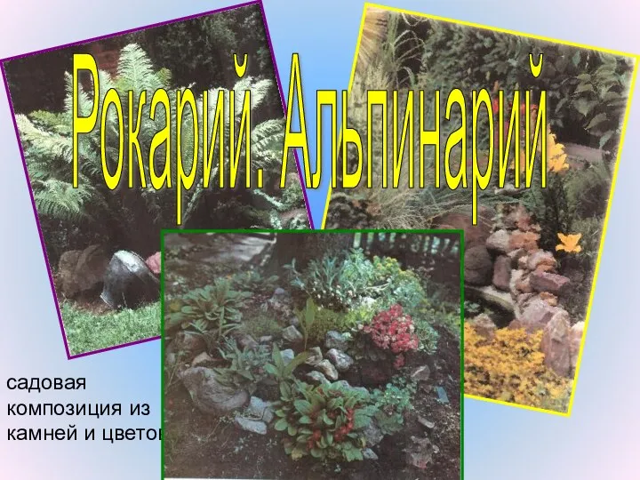 садовая композиция из камней и цветов Рокарий. Альпинарий