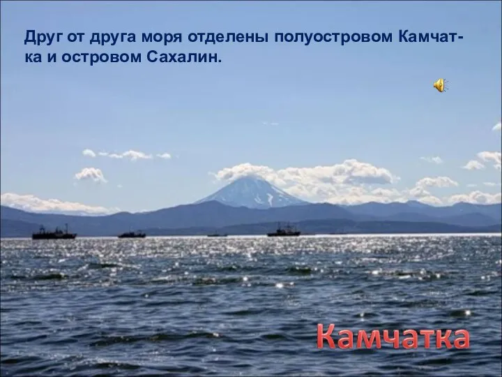 Друг от друга моря отделены полуостровом Камчат-ка и островом Сахалин.