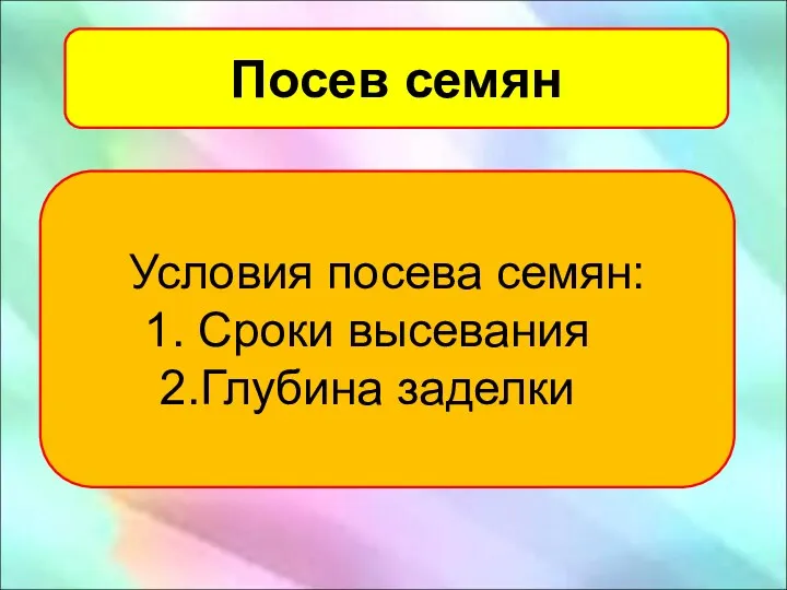 Посев семян Условия посева семян: Сроки высевания Глубина заделки