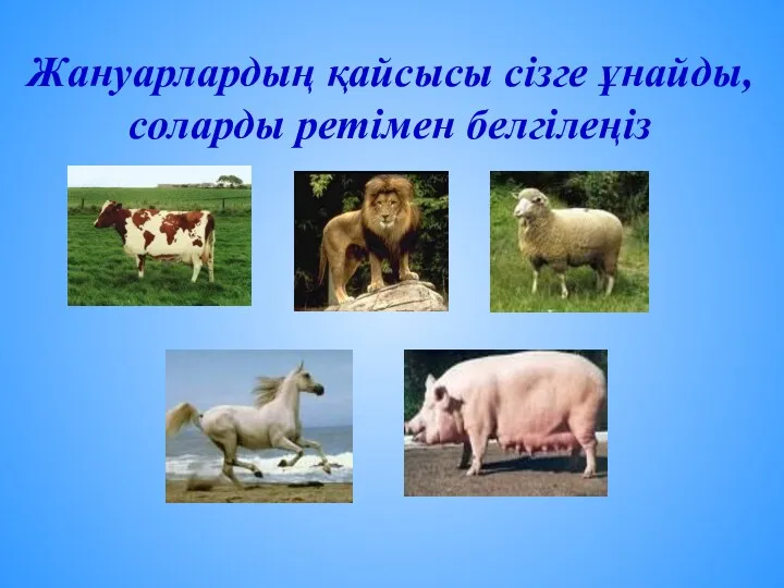 Жануарлардың қайсысы сізге ұнайды, соларды ретімен белгілеңіз