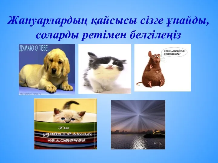 Жануарлардың қайсысы сізге ұнайды, соларды ретімен белгілеңіз