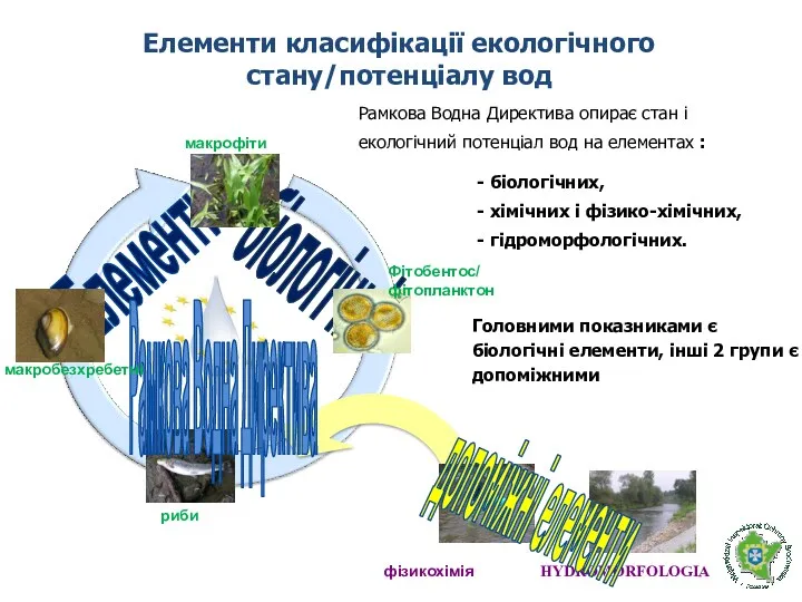 HYDROMORFOLOGIA Елементи класифікації екологічного стану/потенціалу вод - біологічних, - хімічних