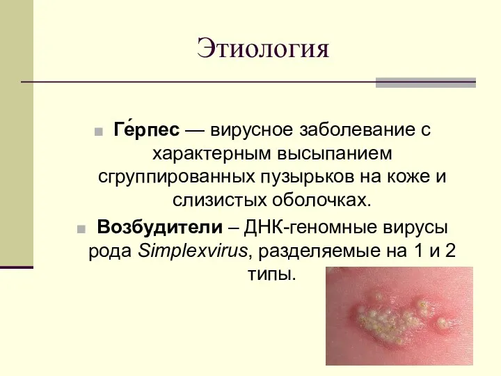 Ге́рпес — вирусное заболевание с характерным высыпанием сгруппированных пузырьков на коже и слизистых