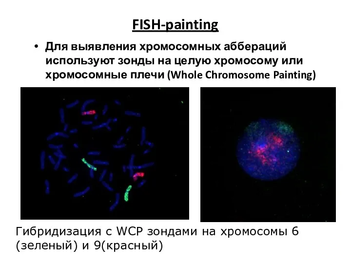 FISH-painting Для выявления хромосомных аббераций используют зонды на целую хромосому или хромосомные плечи