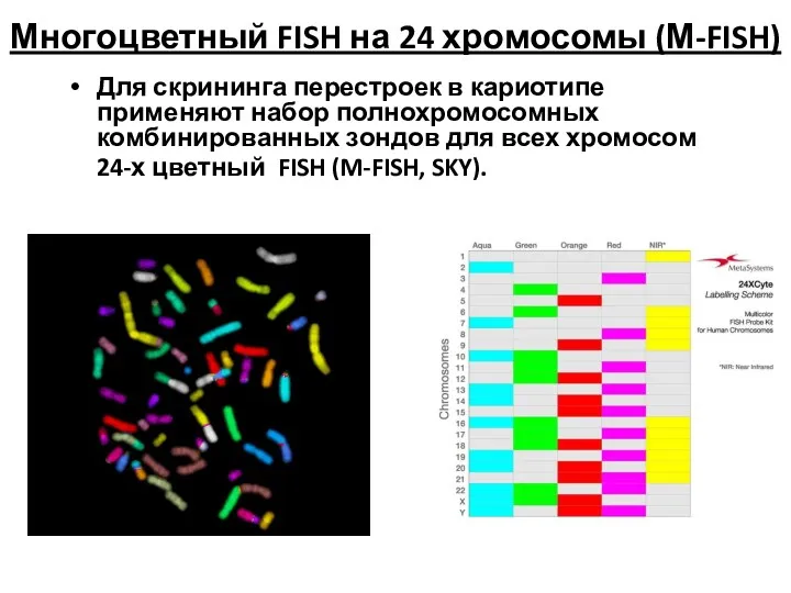 Многоцветный FISH на 24 хромосомы (М-FISH) Для скрининга перестроек в кариотипе применяют набор