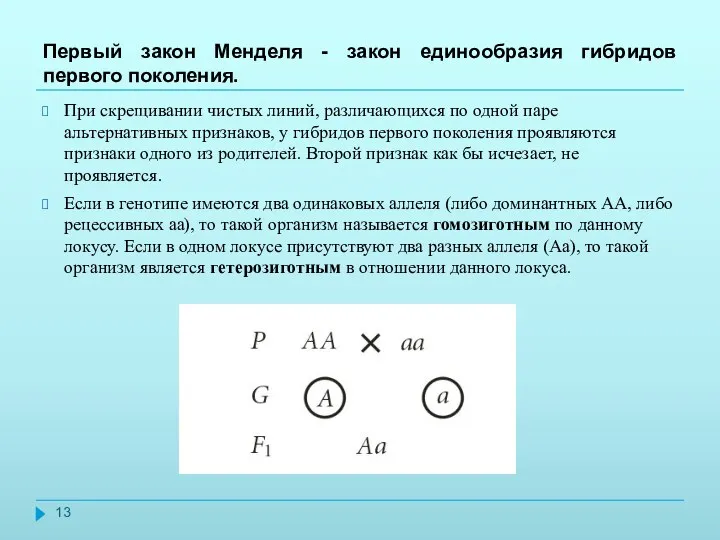 Первый закон Менделя - закон единообразия гибридов первого поколения. При