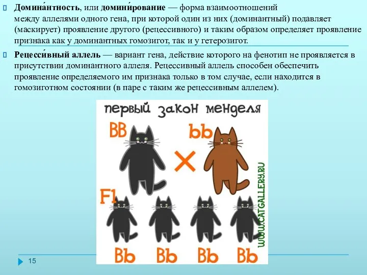 Домина́нтность, или домини́рование — форма взаимоотношений между аллелями одного гена,