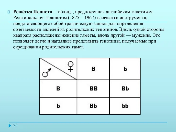 Решётка Пеннета - таблица, предложенная английским генетиком Реджинальдом Паннетом (1875—1967)