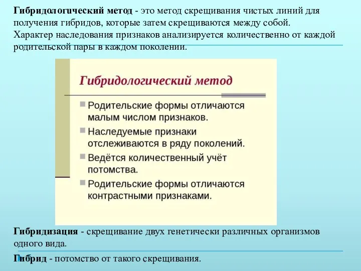 Гибридологuческий метод - это метод скрещивания чистых линий для получения