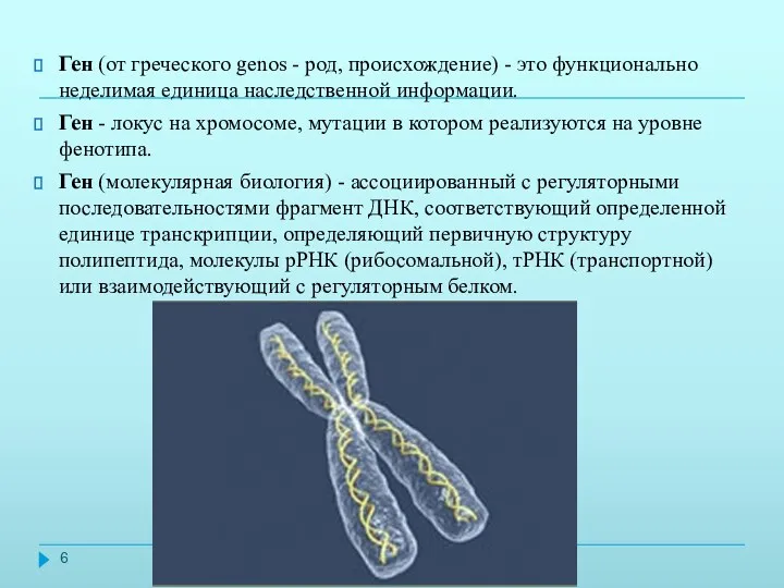 Ген (от греческого genos - род, происхождение) - это функционально