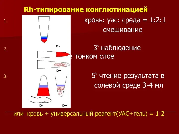 Rh-типирование конглютинацией кровь: уас: среда = 1:2:1 смешивание 3‘ наблюдение в тонком слое