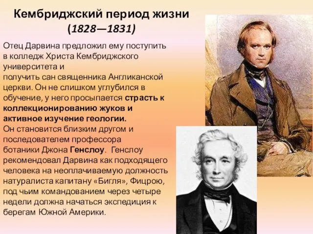 Кембриджский период жизни (1828—1831) Отец Дарвина предложил ему поступить в