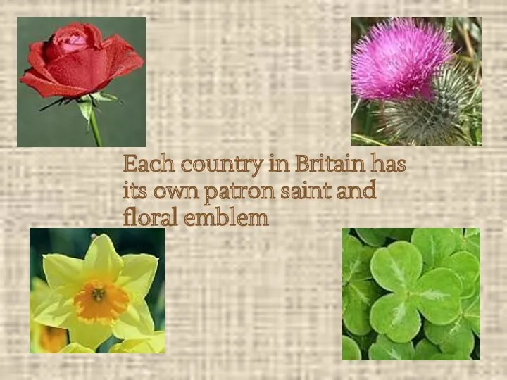 Each country in Britain has its own patron saint and floral emblem