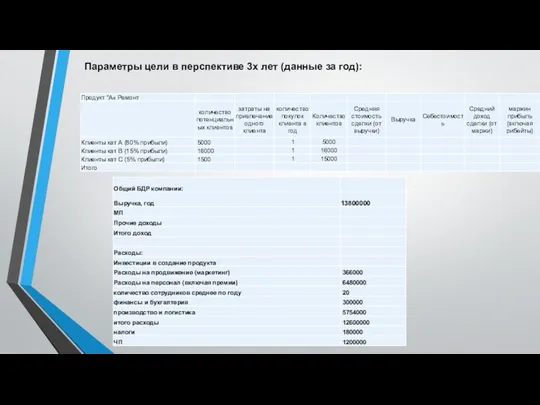 Параметры цели в перспективе 3х лет (данные за год):