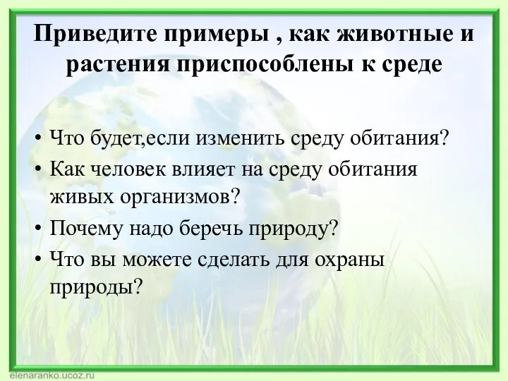 Приведите примеры , как животные и растения приспособлены к среде