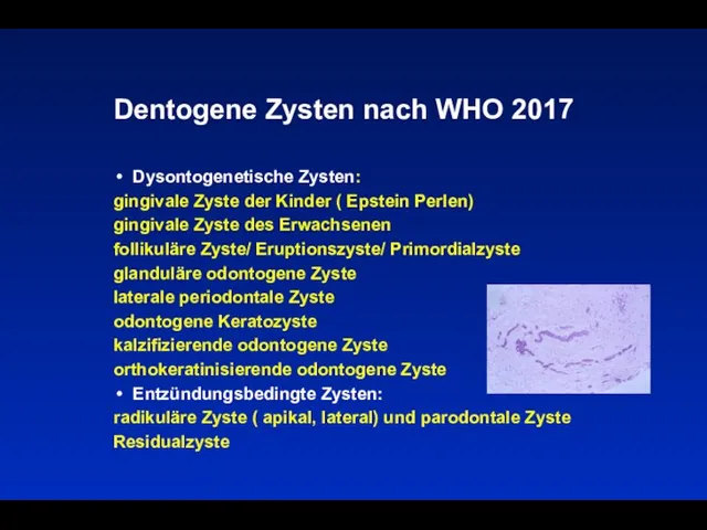 Dentogene Zysten nach WHO 2017 Dysontogenetische Zysten: gingivale Zyste der