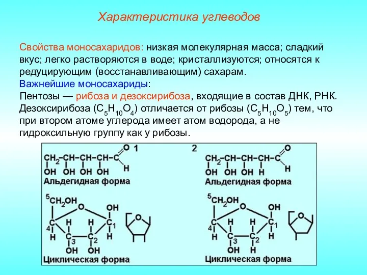 Характеристика углеводов Свойства моносахаридов: низкая молекулярная масса; сладкий вкус; легко