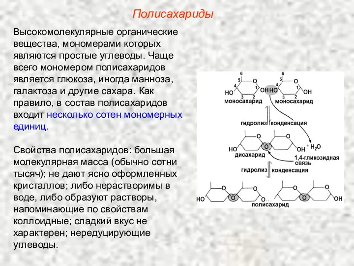 Полисахариды Высокомолекулярные органические вещества, мономерами которых являются простые углеводы. Чаще