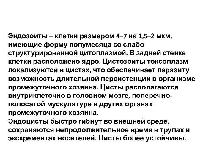 Эндозоиты – клетки размером 4–7 на 1,5–2 мкм, имеющие форму