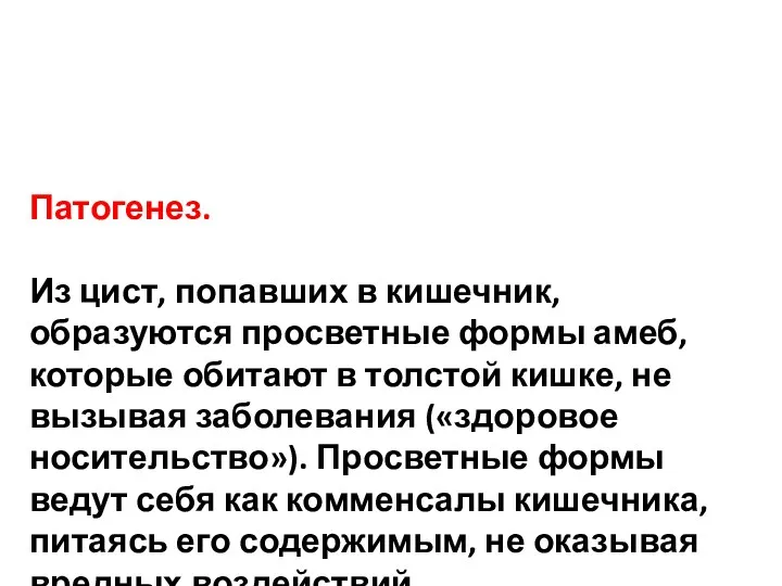 Патогенез. Из цист, попавших в кишечник, образуются просветные формы амеб,