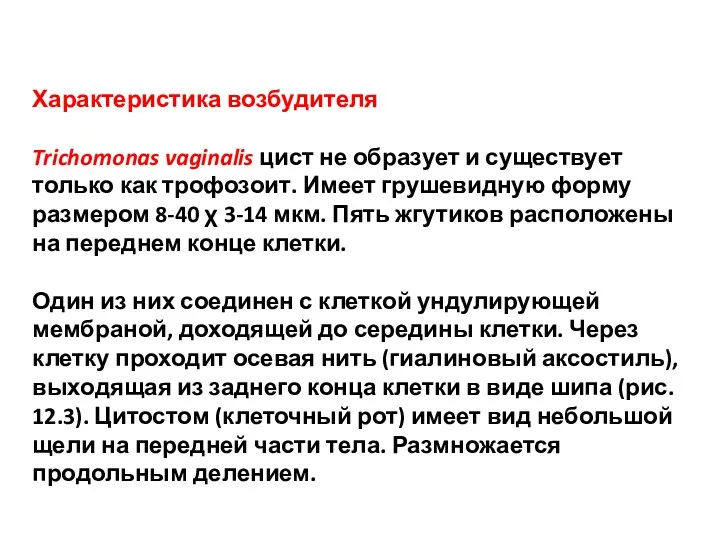 Характеристика возбудителя Trichomonas vaginalis цист не образует и существует только