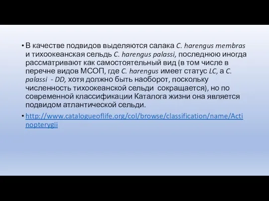 В качестве подвидов выделяются салака C. harengus membras и тихоокеанская