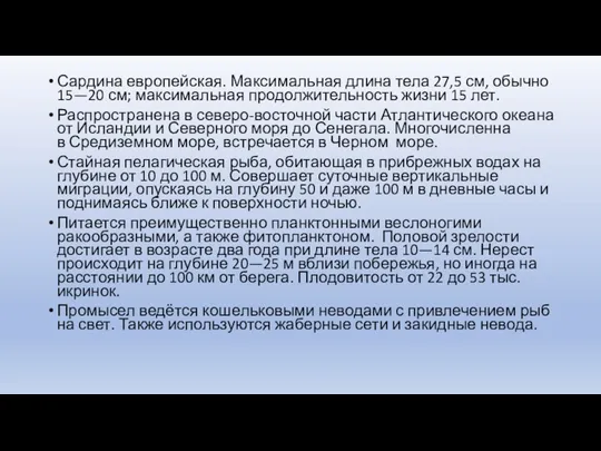 Сардина европейская. Максимальная длина тела 27,5 см, обычно 15—20 см;