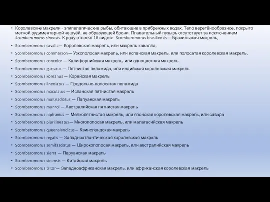 Королевские макрели - эпипелагические рыбы, обитающие в прибрежных водах. Тело