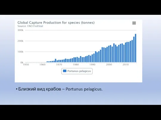 Близкий вид крабов – Portunus pelagicus.