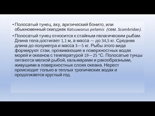 Полосатый тунец, аку, арктический бонито, или обыкновенный скипджек Katsuwonus pelamis