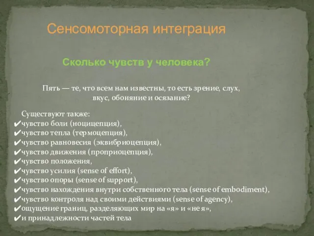 Сенсомоторная интеграция Сколько чувств у человека? Пять — те, что всем нам известны,