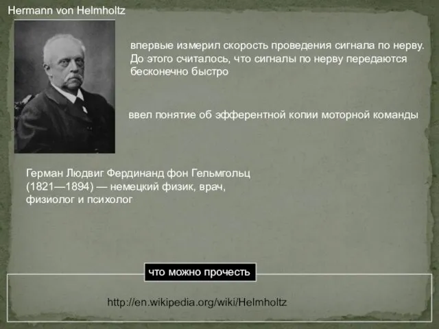 Hermann von Helmholtz впервые измерил скорость проведения сигнала по нерву.