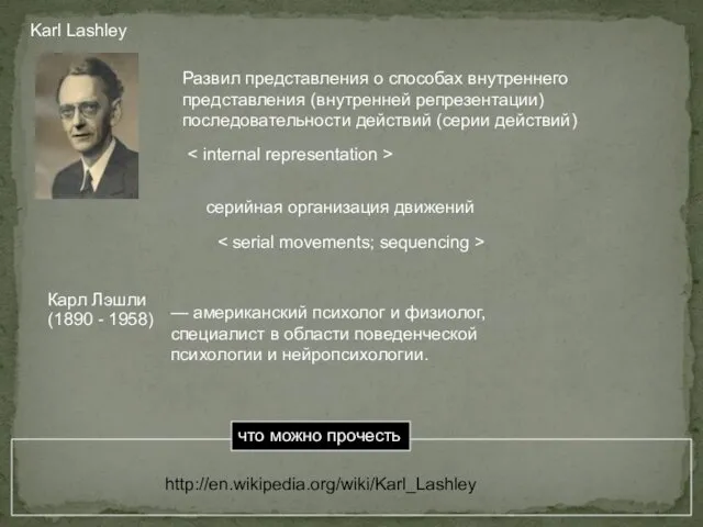 Karl Lashley серийная организация движений Развил представления о способах внутреннего представления (внутренней репрезентации)